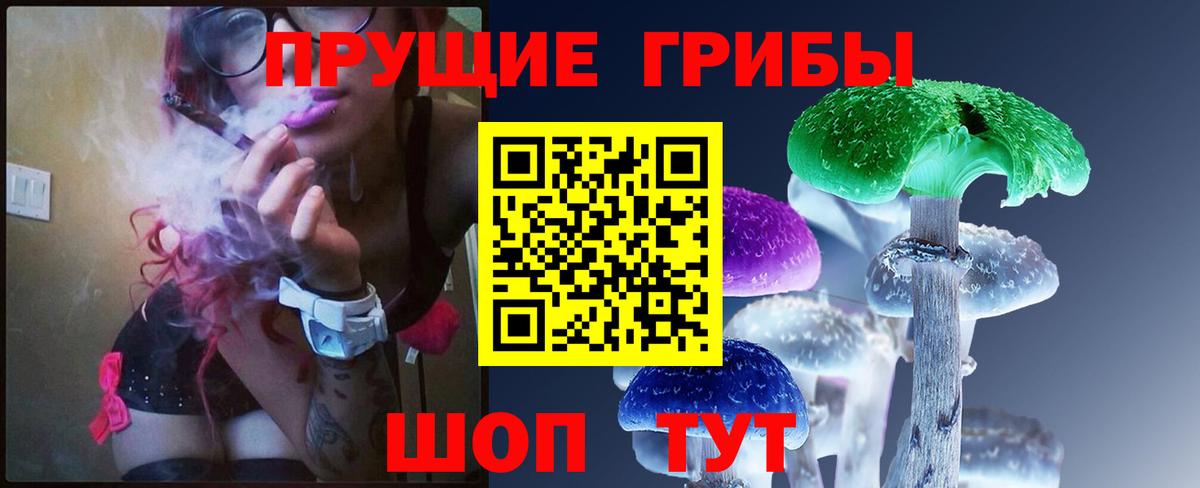 Псилоцибиновые грибы Cubensis  Вход с VPN  магазин    Псилоцибиновые грибы MAGIC MUSHROOMS  Шатура 